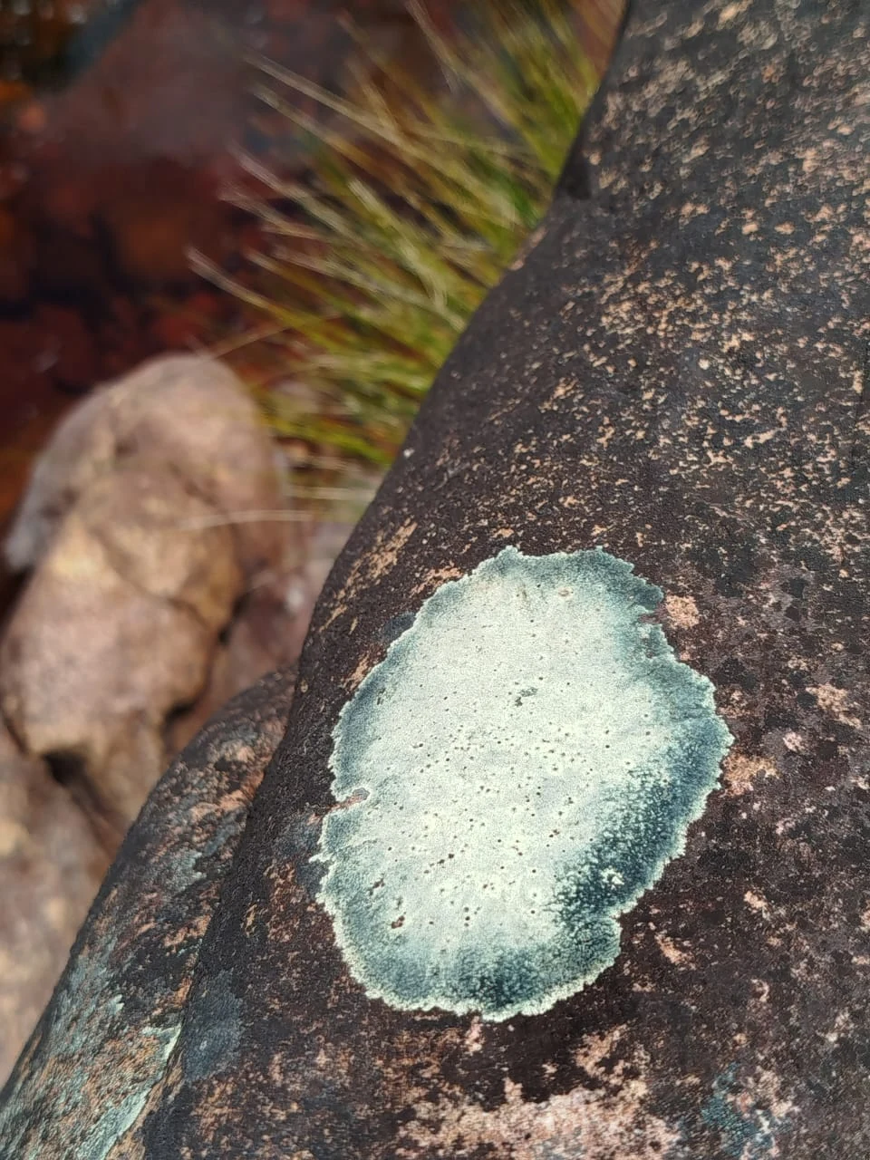 Piedras y caminos — registro de campo 02.