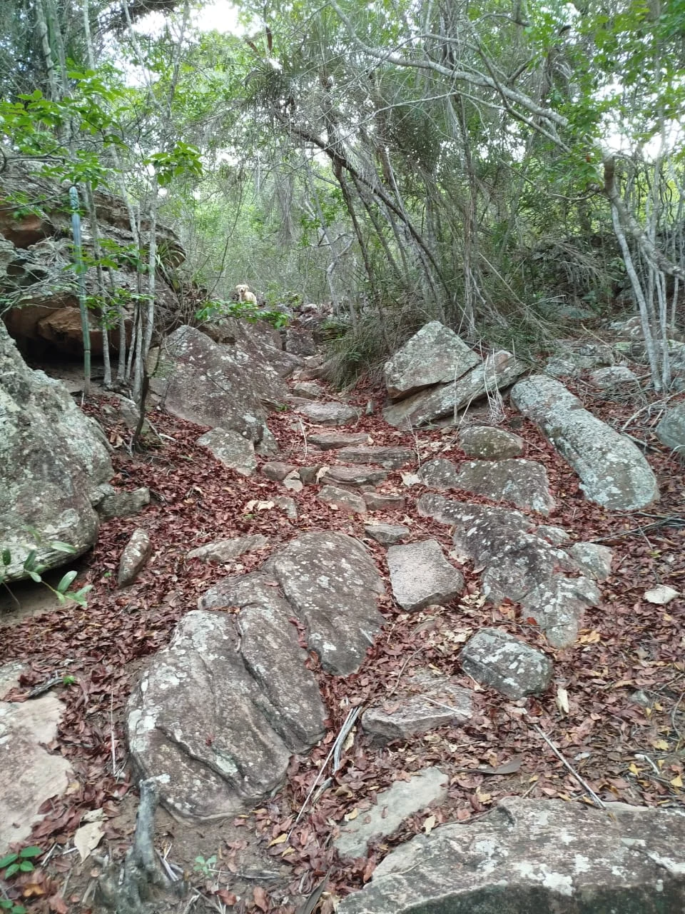 Piedras y caminos — registro de campo 03.