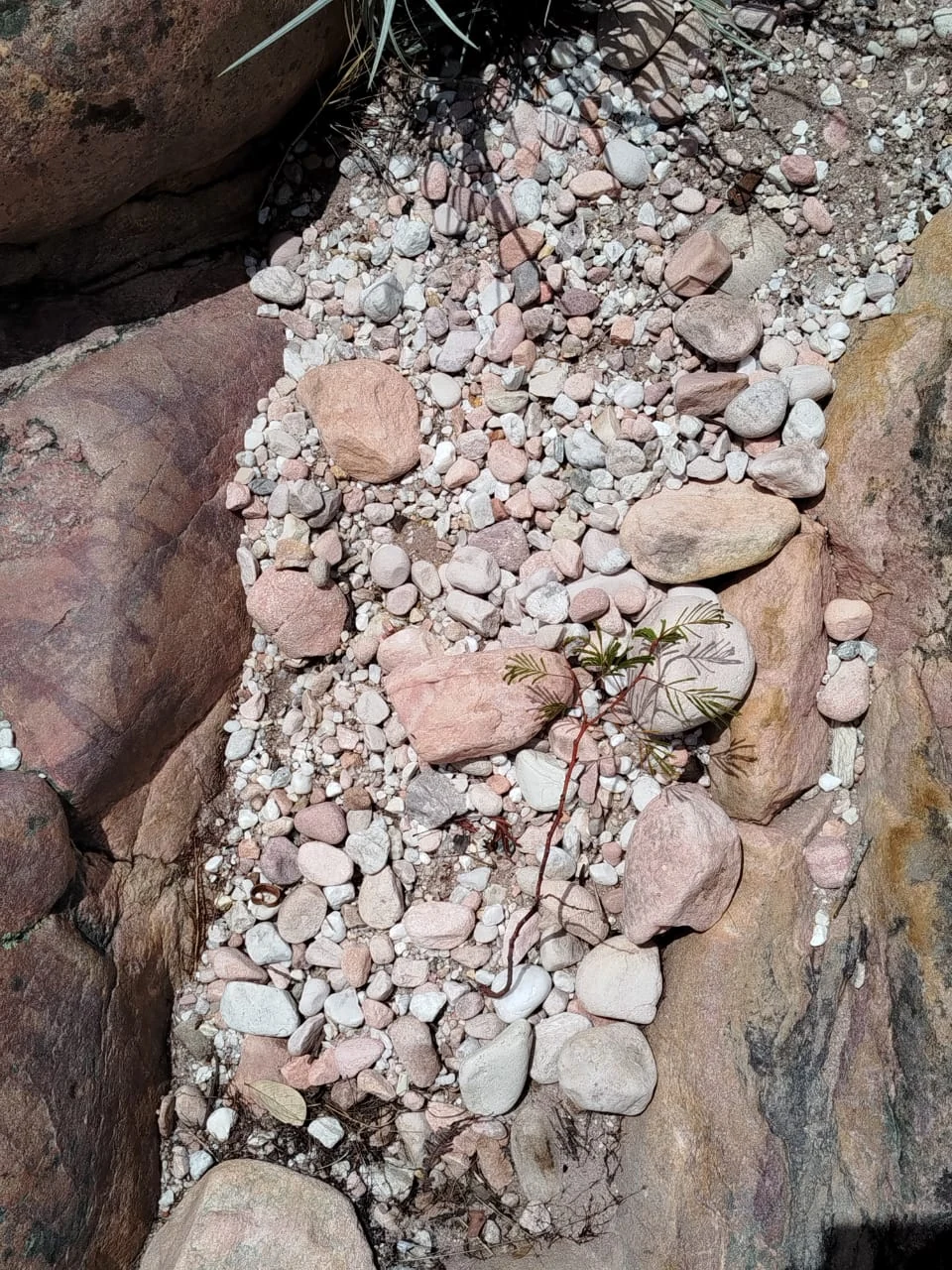 Piedras y caminos — registro de campo 04.