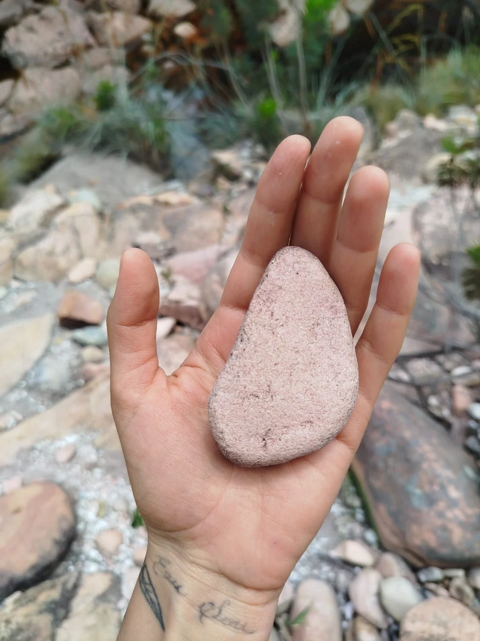 Piedras y caminos — registro de campo 07.