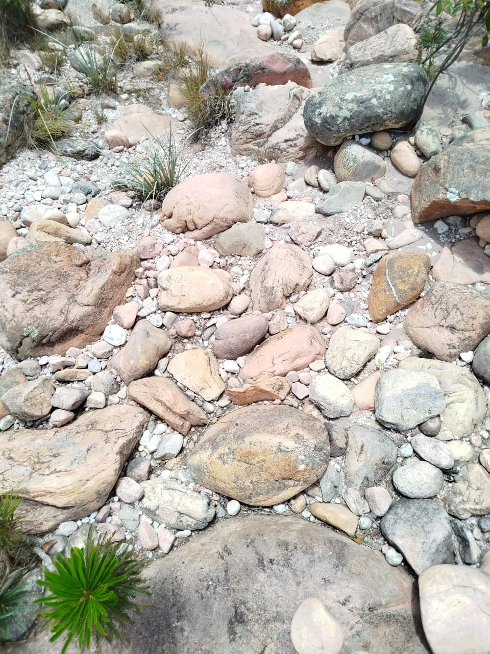 Piedras y caminos — registro de campo 09.