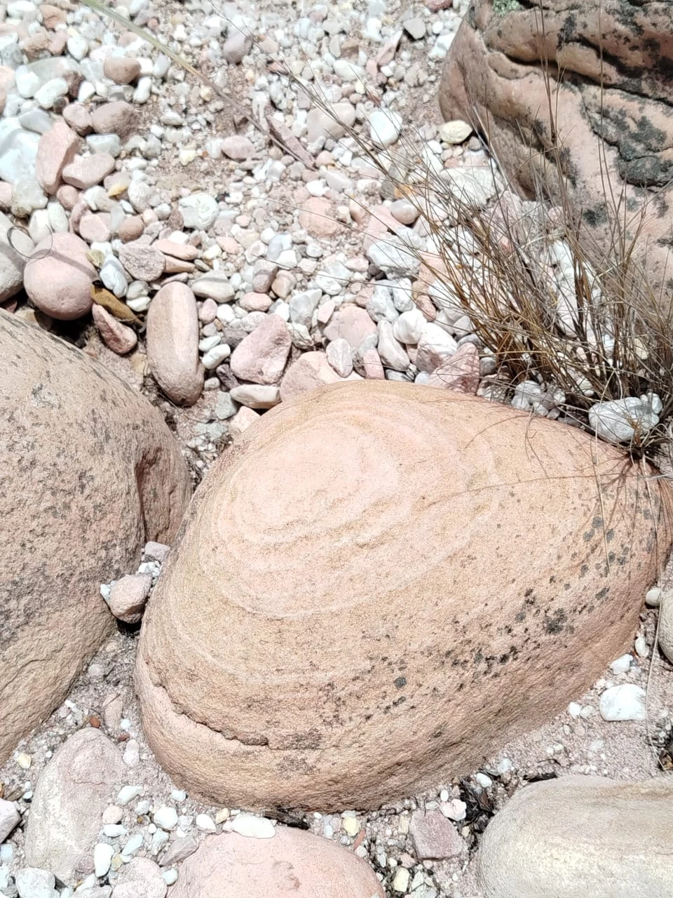 Piedras y caminos — registro de campo 10.