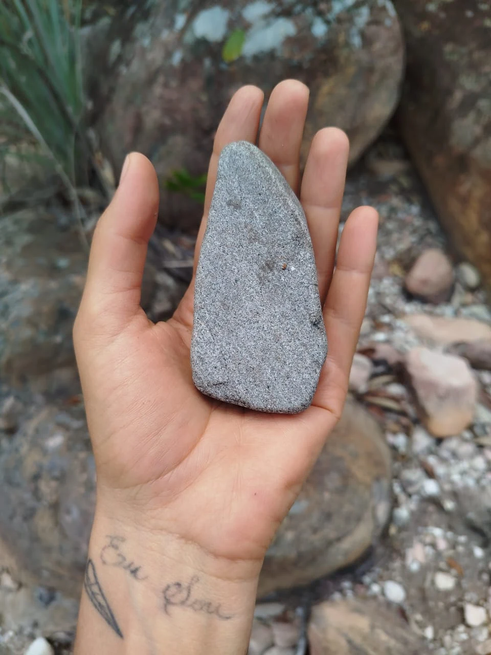 Piedras y caminos — registro de campo 11.