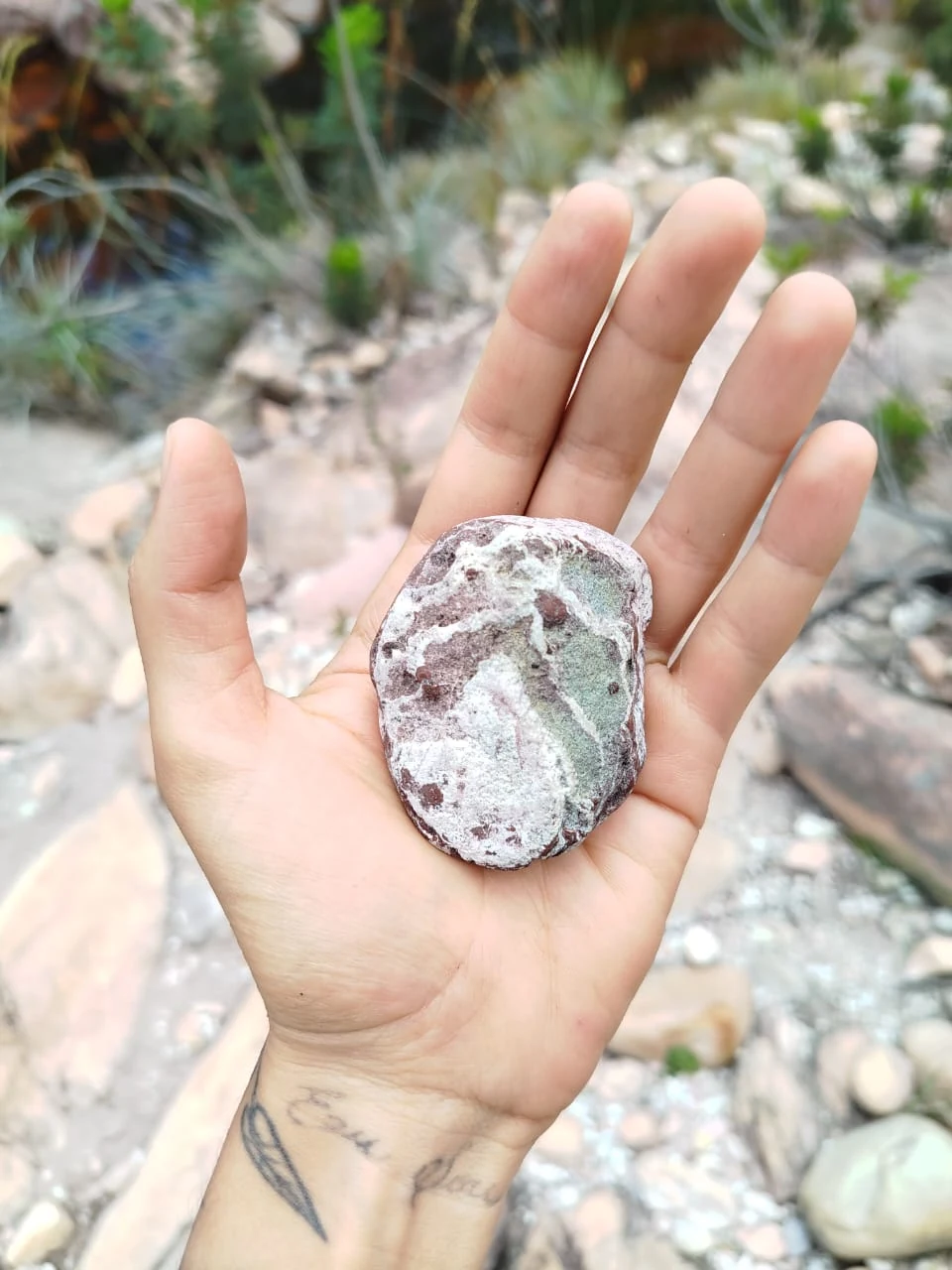 Piedras y caminos — registro de campo 14.