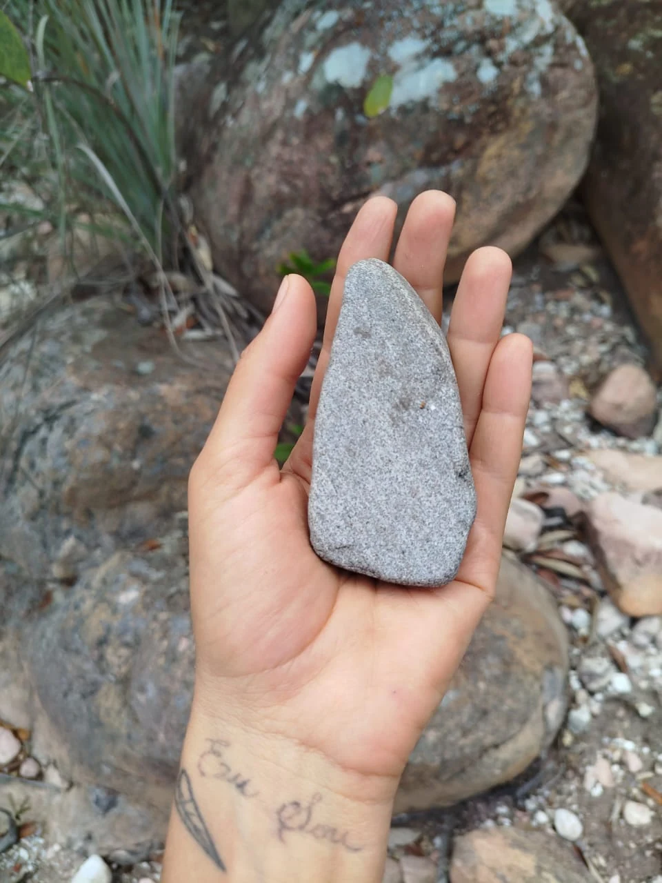 Piedras y caminos — registro de campo 15.