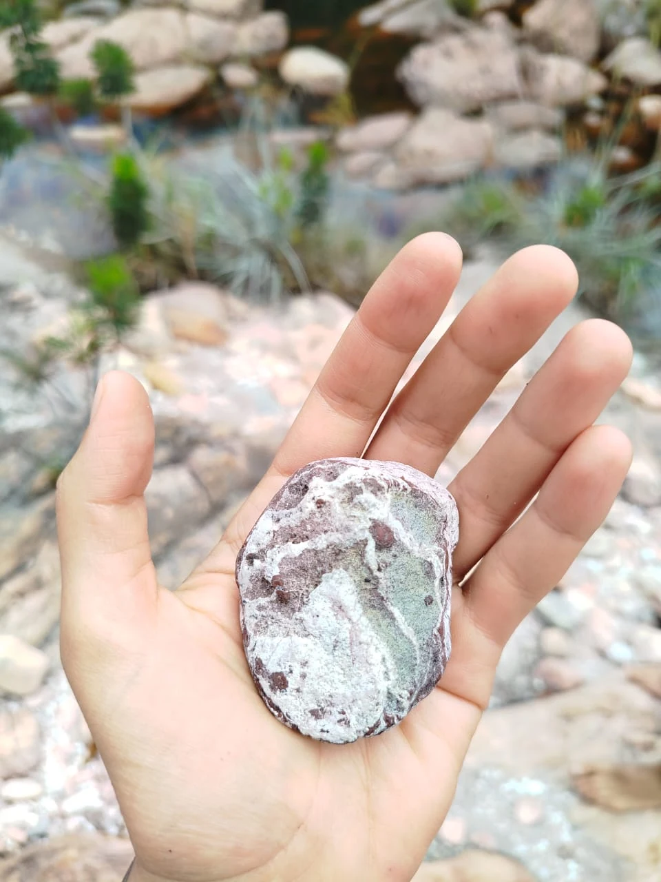 Piedras y caminos — registro de campo 18.
