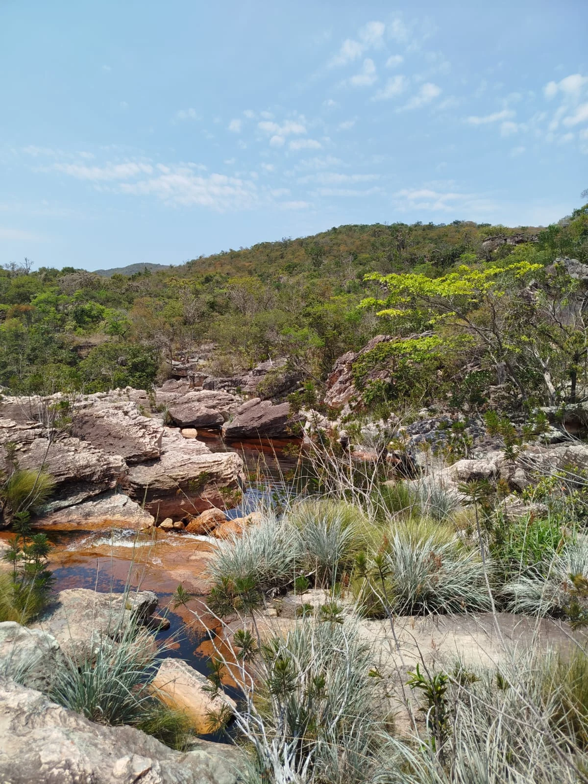 Piedras y caminos — registro de campo 25.