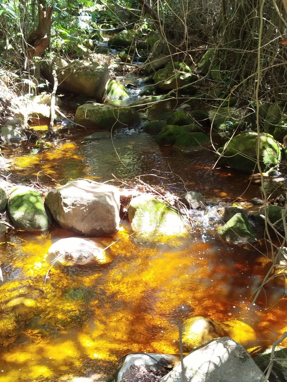 Aguas de Caeté-Açu — registro de campo 02.