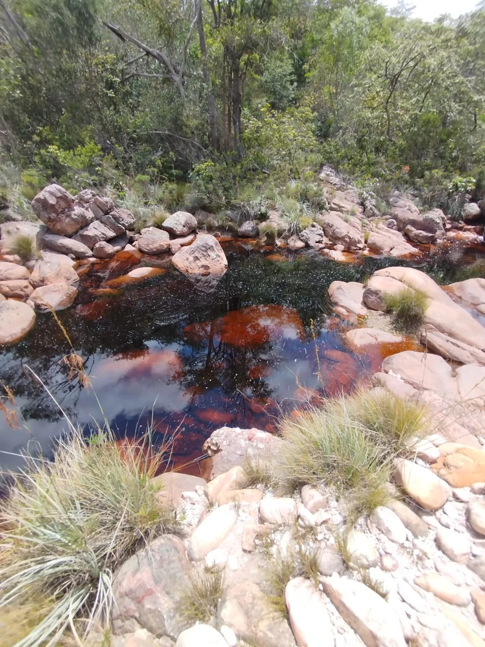 Aguas de Caeté-Açu — registro de campo 04.