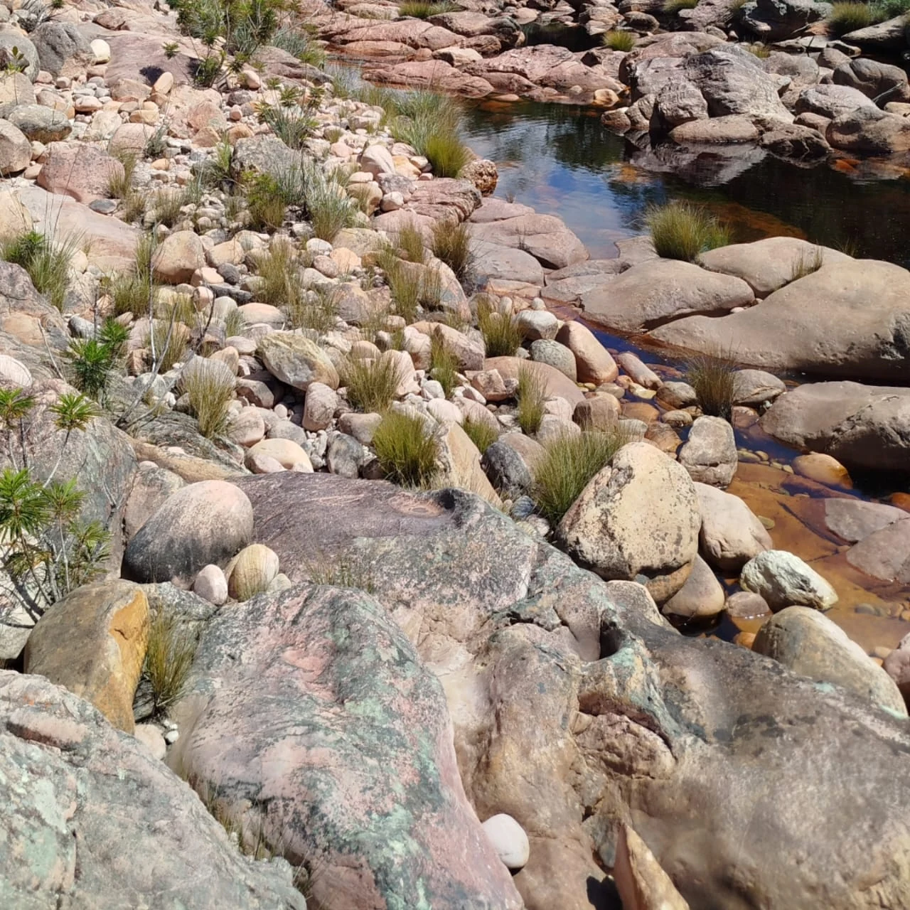 Aguas de Caeté-Açu — registro de campo 08.