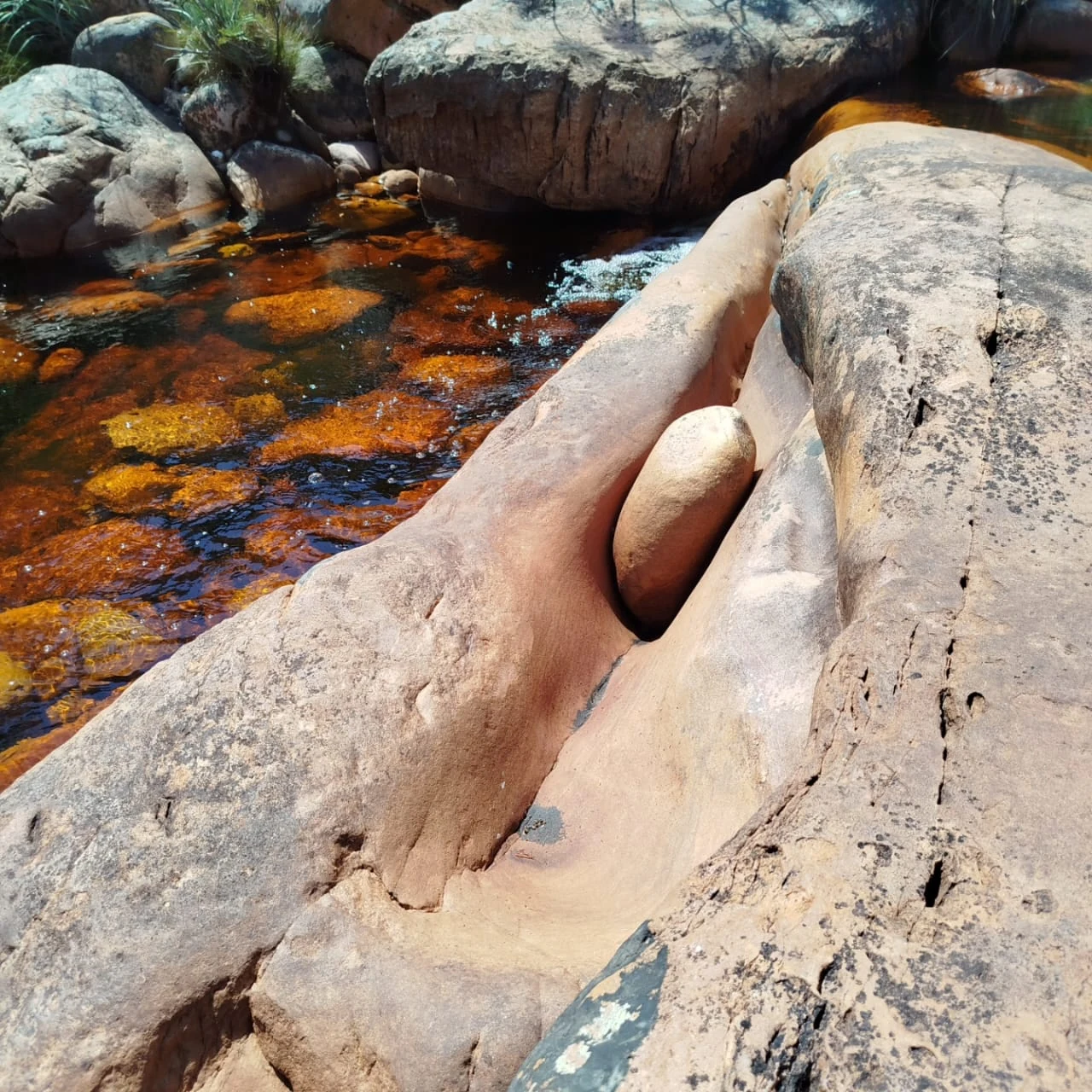 Aguas de Caeté-Açu — registro de campo 11.