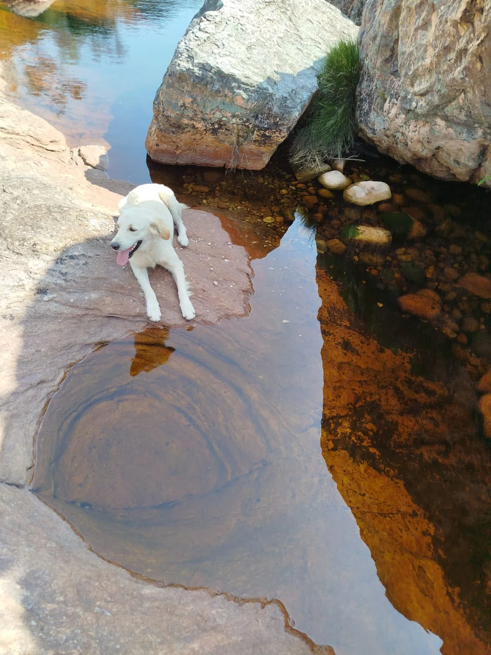 Aguas de Caeté-Açu — registro de campo 23.