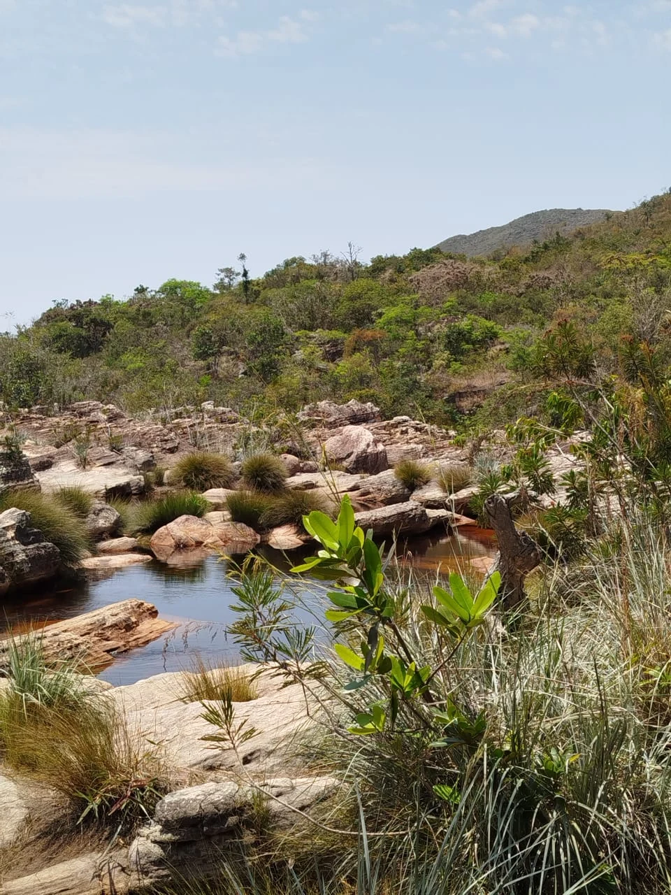 Aguas de Caeté-Açu — registro de campo 25.