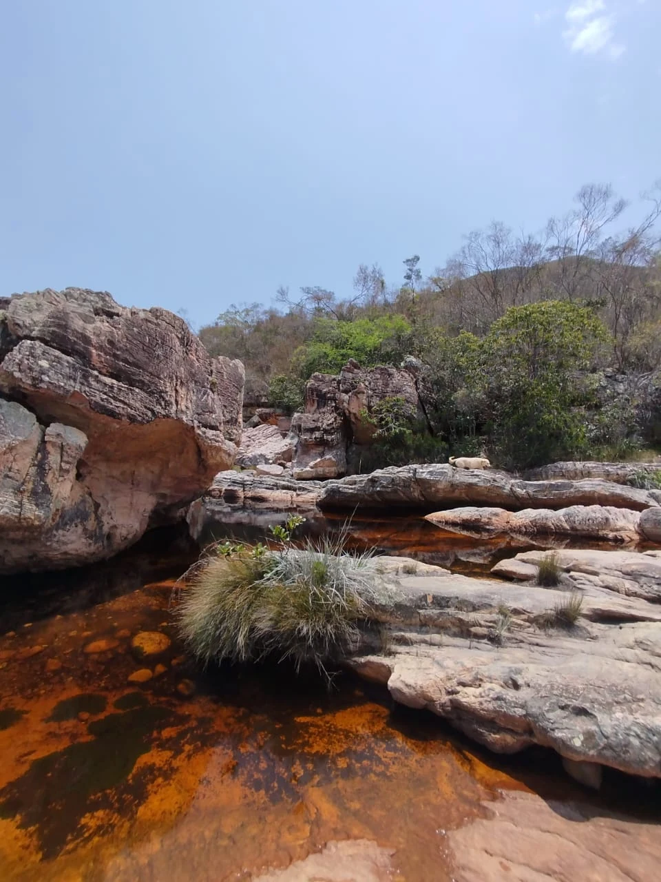 Aguas de Caeté-Açu — registro de campo 30.