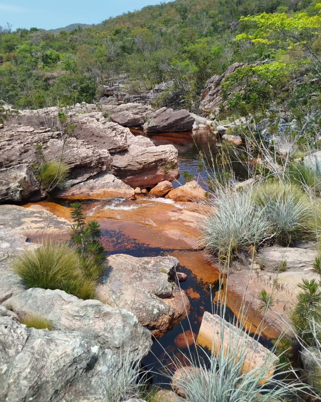 Águas de Dentro — registro de campo.